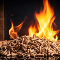 Pellet certificato 