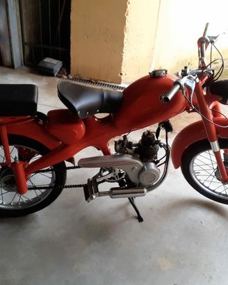 motom 48