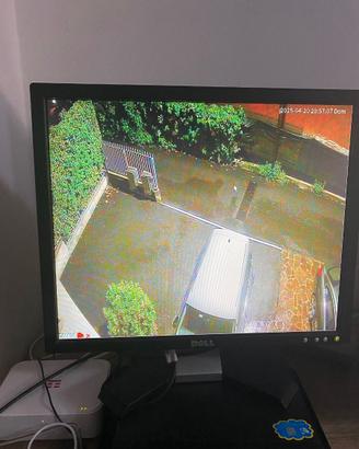 Dell E198FPB HU183 19" LCD TFT Black Computer Flat