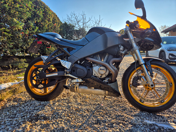Buell xb12r firebolt