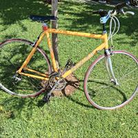 Specialized bici da corsa