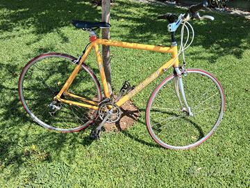 Specialized bici da corsa