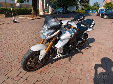 Yamaha FZ8 - Akrapovic - Tagliandata