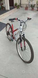 montanbike da donna