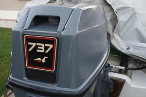 Motore johnson 737 gt