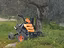 Immagine 1