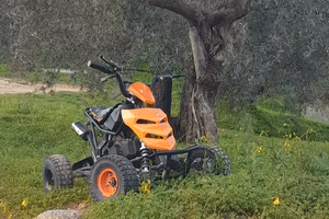 mini quad