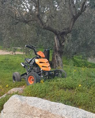 mini quad