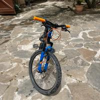 Bicicletta torpado 24,5