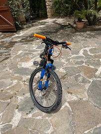 Bicicletta torpado 24,5