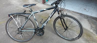 bicicletta city bike 