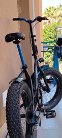 fat bike