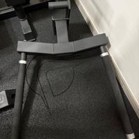 Dip station Lacertosus