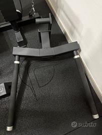 Dip station Lacertosus