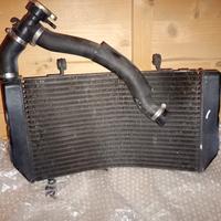 radiatore Honda CBR f 600  anno 1997