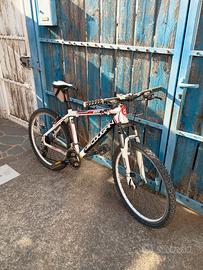 MTB leecougan 