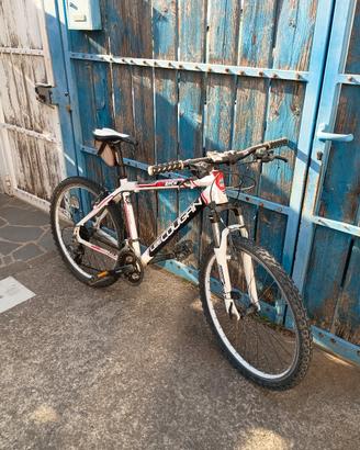 MTB leecougan 