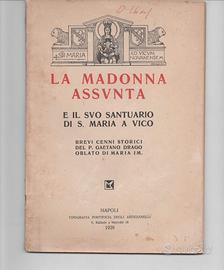 La Madonna Assunta e il Santuario S. Maria a Vico