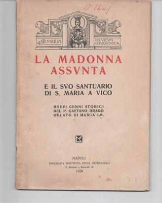 La Madonna Assunta e il Santuario S. Maria a Vico