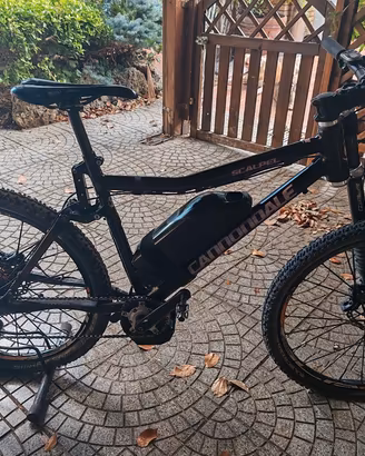 ebike 