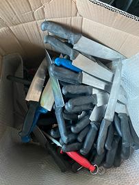 Coltelli professionali