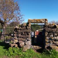 Terreno agricolo adibito a orto