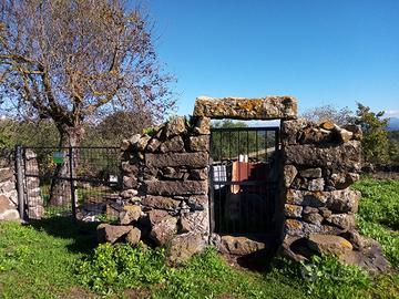 Terreno agricolo adibito a orto