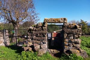 Terreno agricolo adibito a orto