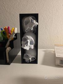 Scultura Teschi 3D Design Moderno da Arredo
