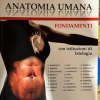 Libro Fondamenti Anatomia Umana - Edi ermes