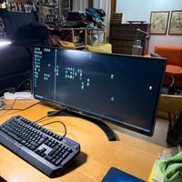 LG 34UM88-P - Monitor 34” Ultrawide IPS