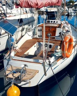 Barca Alpa 8,25