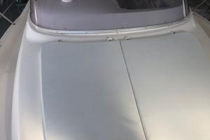 Barca Faeton 29 Scape