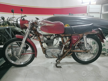 Ducati elite 200 oro