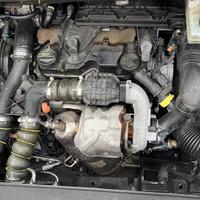 Motore Peugeot 9H05 1.6 diesel
