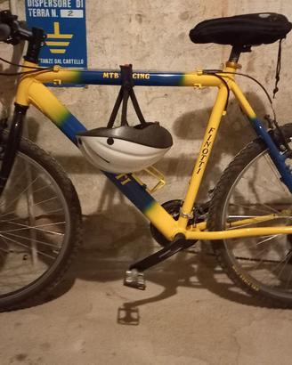 bicicletta