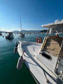 Zaniboni f23 walk around