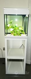 Acquario Askoll Pure M + Askoll Pure Stand