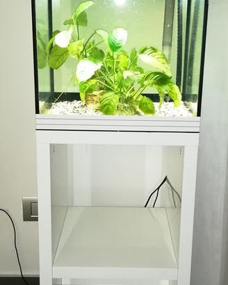 Acquario Askoll Pure M + Askoll Pure Stand
