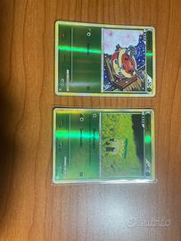 Carte Pokemon Kricketot e Sunkern