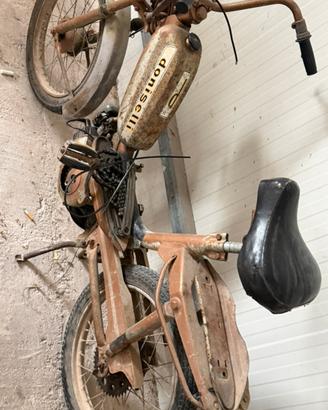 Motorino doniselli