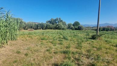 Terreno Agricolo Milazzo [TA002VCG]