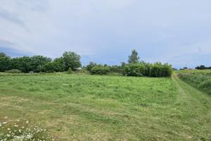 Sacra famiglia terreno agricolo