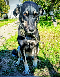 Nelly la simpaticona