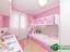 Immagine 15