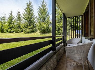 Vacanza Montagna Trentino Fiemme