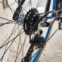 Bicicletta Touring Lupo Veloce