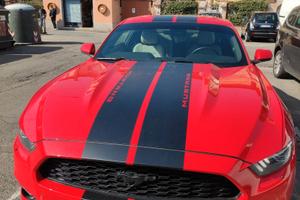 Mustang Premium 2016