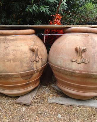 orci oleari  del 1800