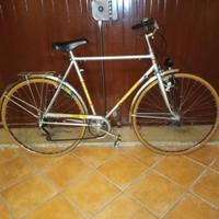 bicicletta stradale perfettamente funzionante